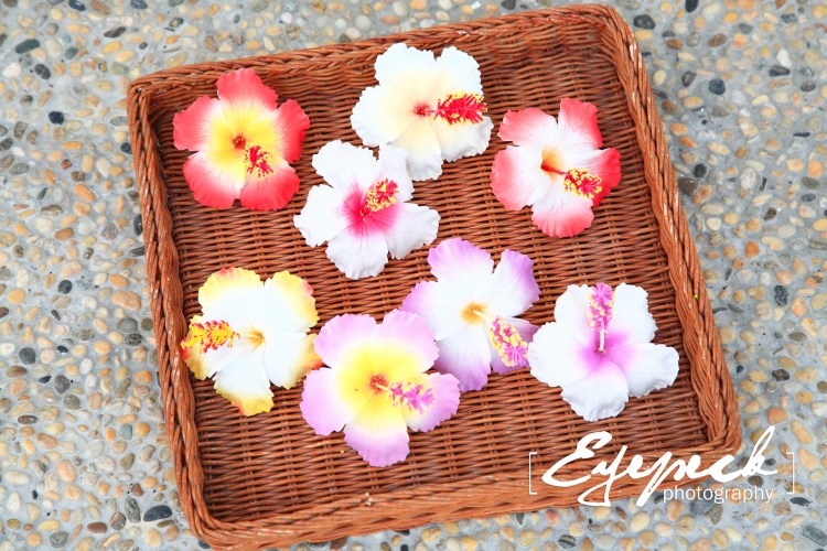 %e5%a4%8f%e6%97%a5%e6%b5%b7%e7%81%98%e9%a2%a8%e6%83%85%e5%95%86%e5%93%81%e7%b6%b2%e6%8b%8d%e6%8b%8d%e6%94%9d-013