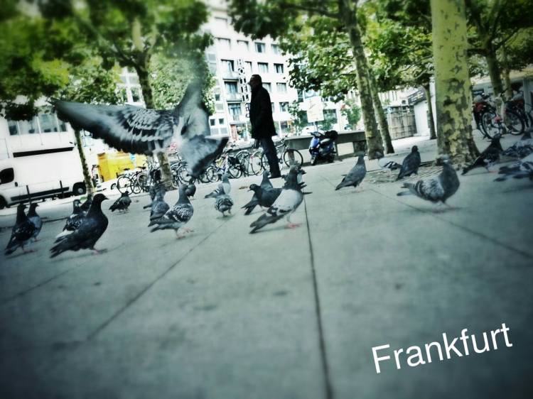 1278088_10201618016679433_1303796454_o