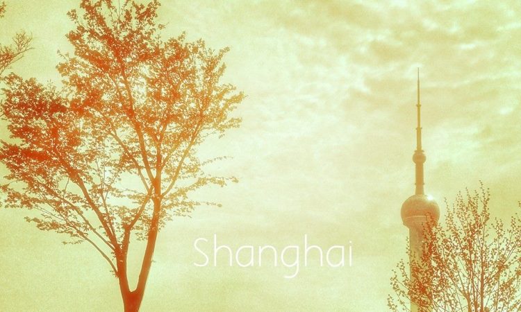 10150594_10203049597988071_5355319025879349761_n