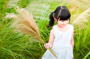 x2n_2551-%e6%8b%b7%e8%b2%9d